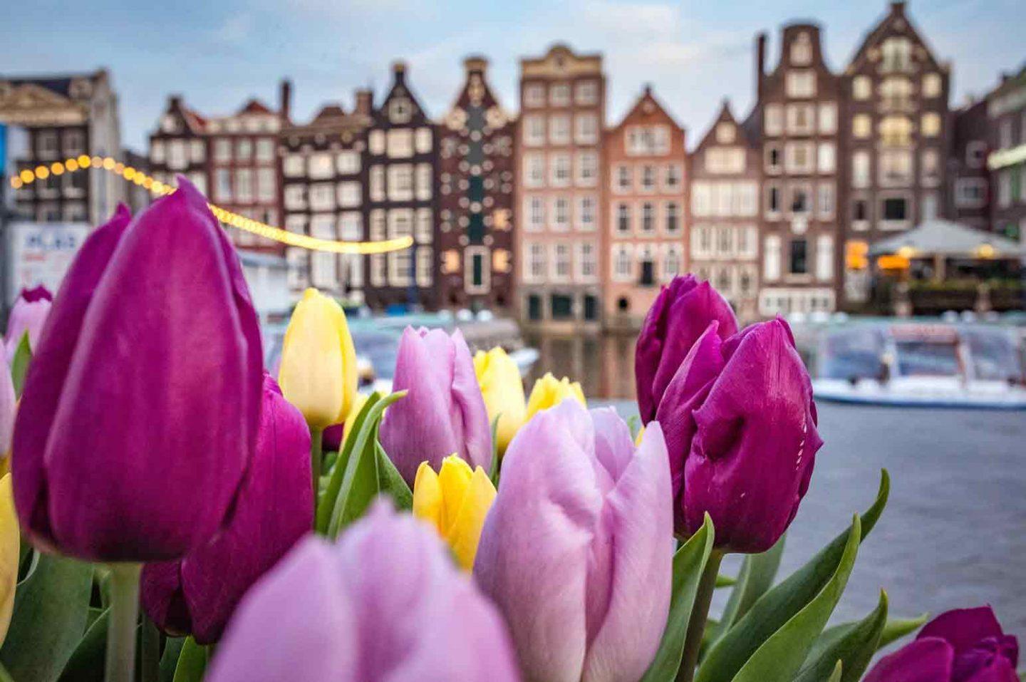 Experience the Breathtaking Beauty of Amsterdam