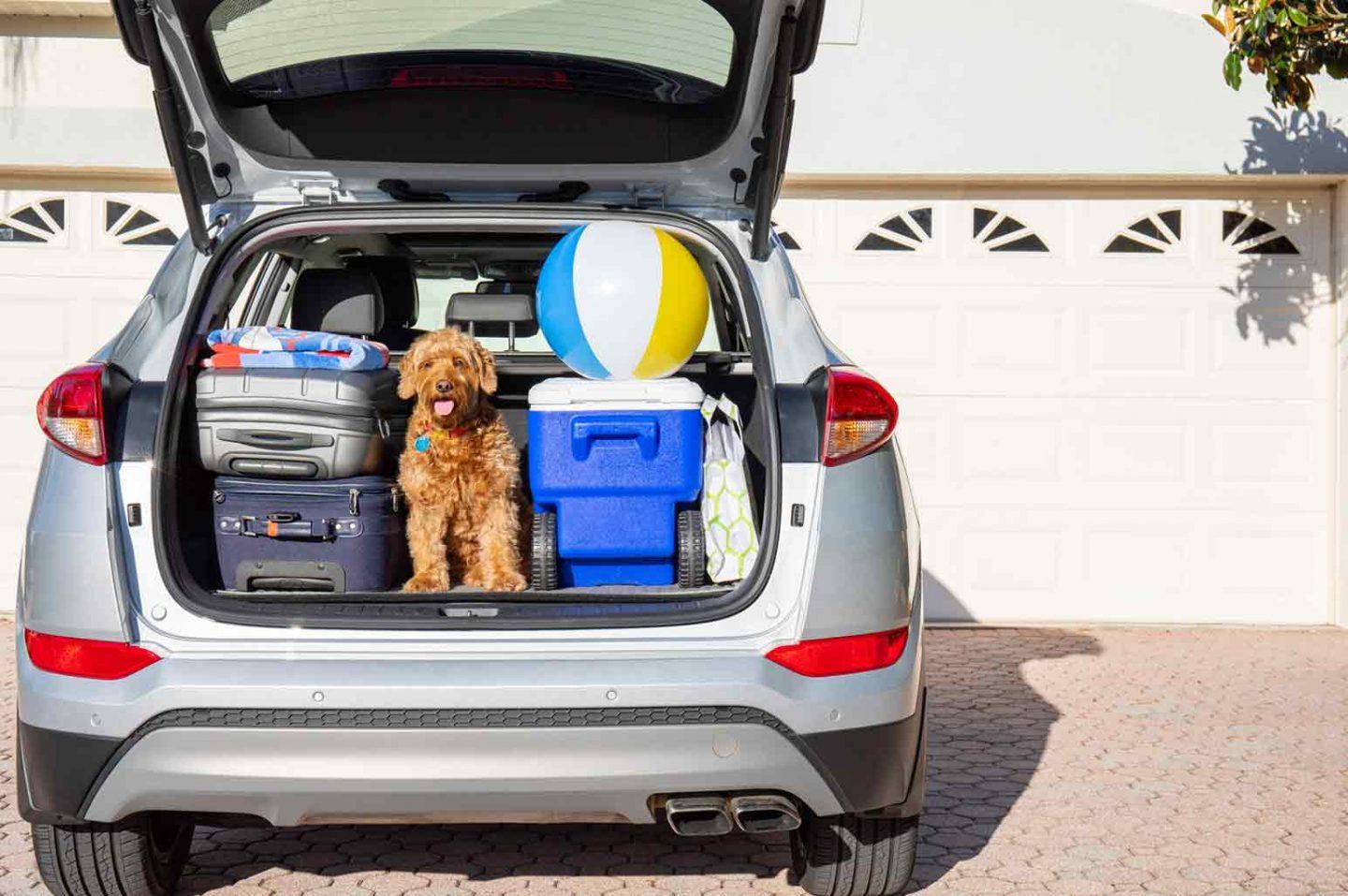 How To Plan For A Family Road Trip