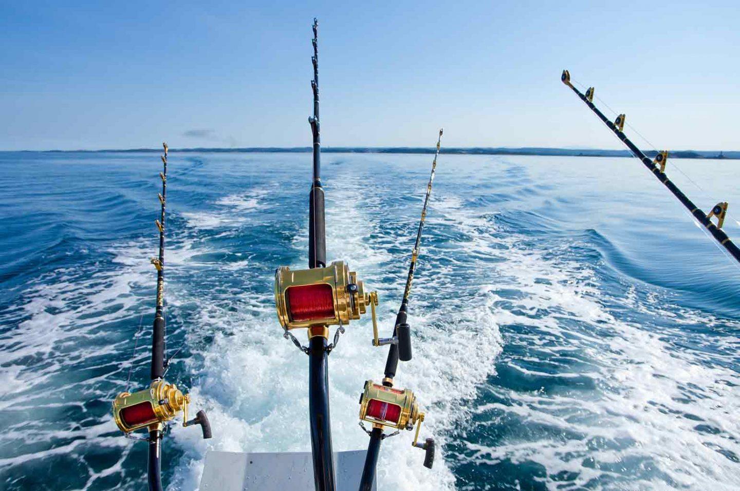 Getting The Most Out Of Your First Charter Fishing Trip