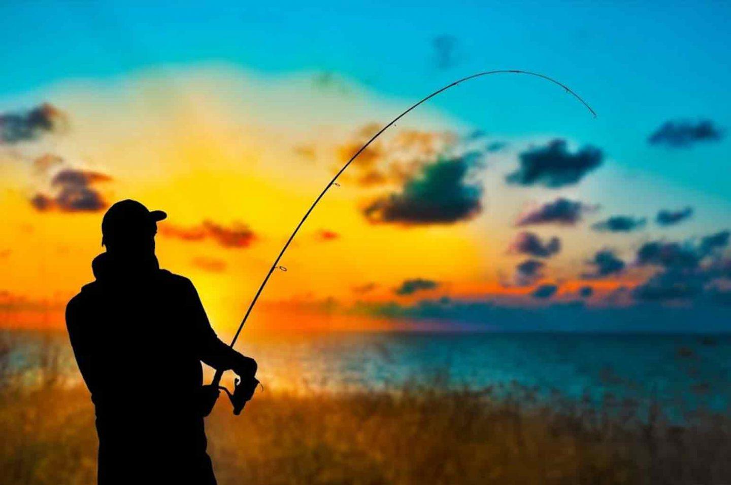 Tips To Improve Your Fishing Skills