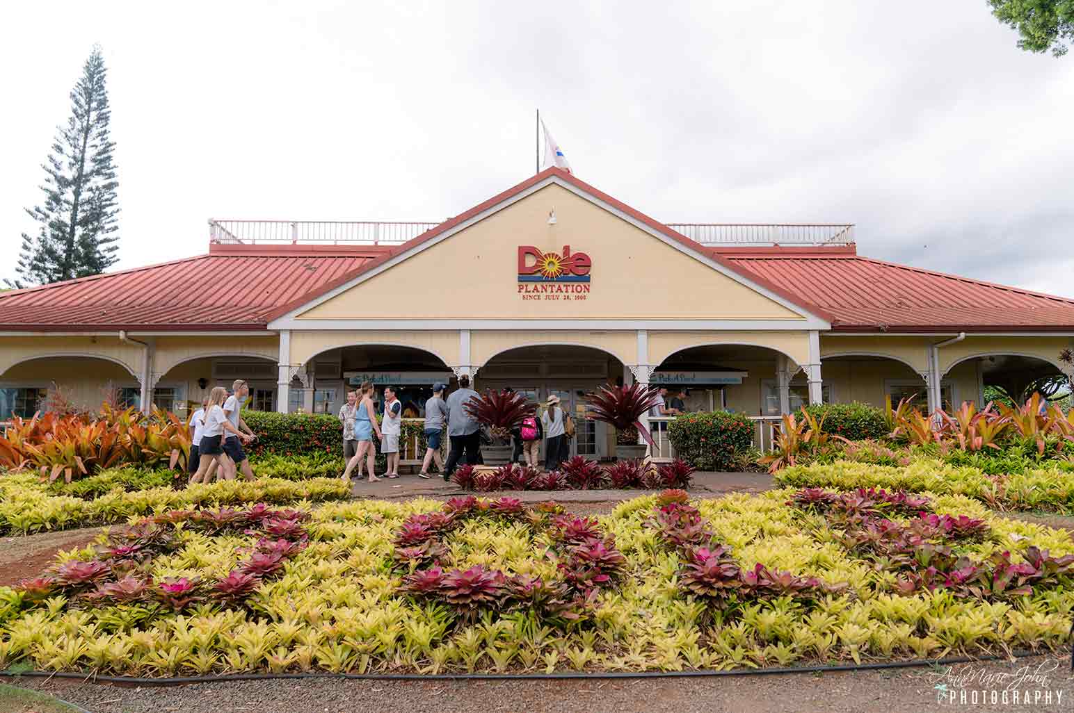 5-things-to-do-at-the-dole-plantation-with-your-family-annmarie-john