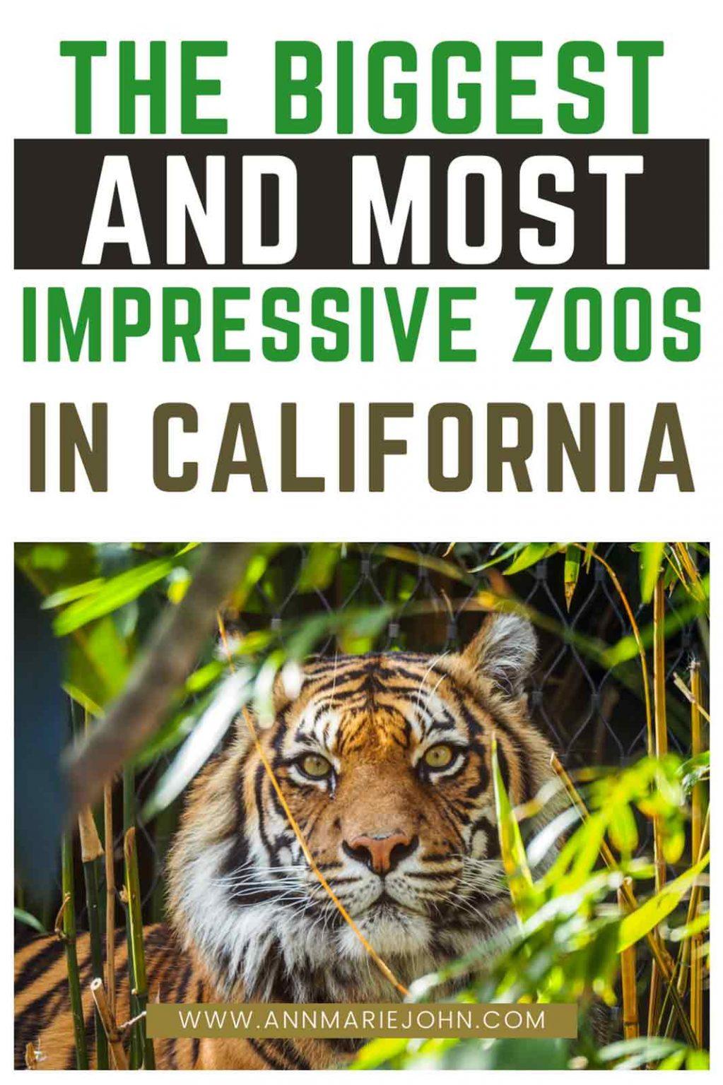 the-biggest-and-most-impressive-zoos-in-california-annmarie-john