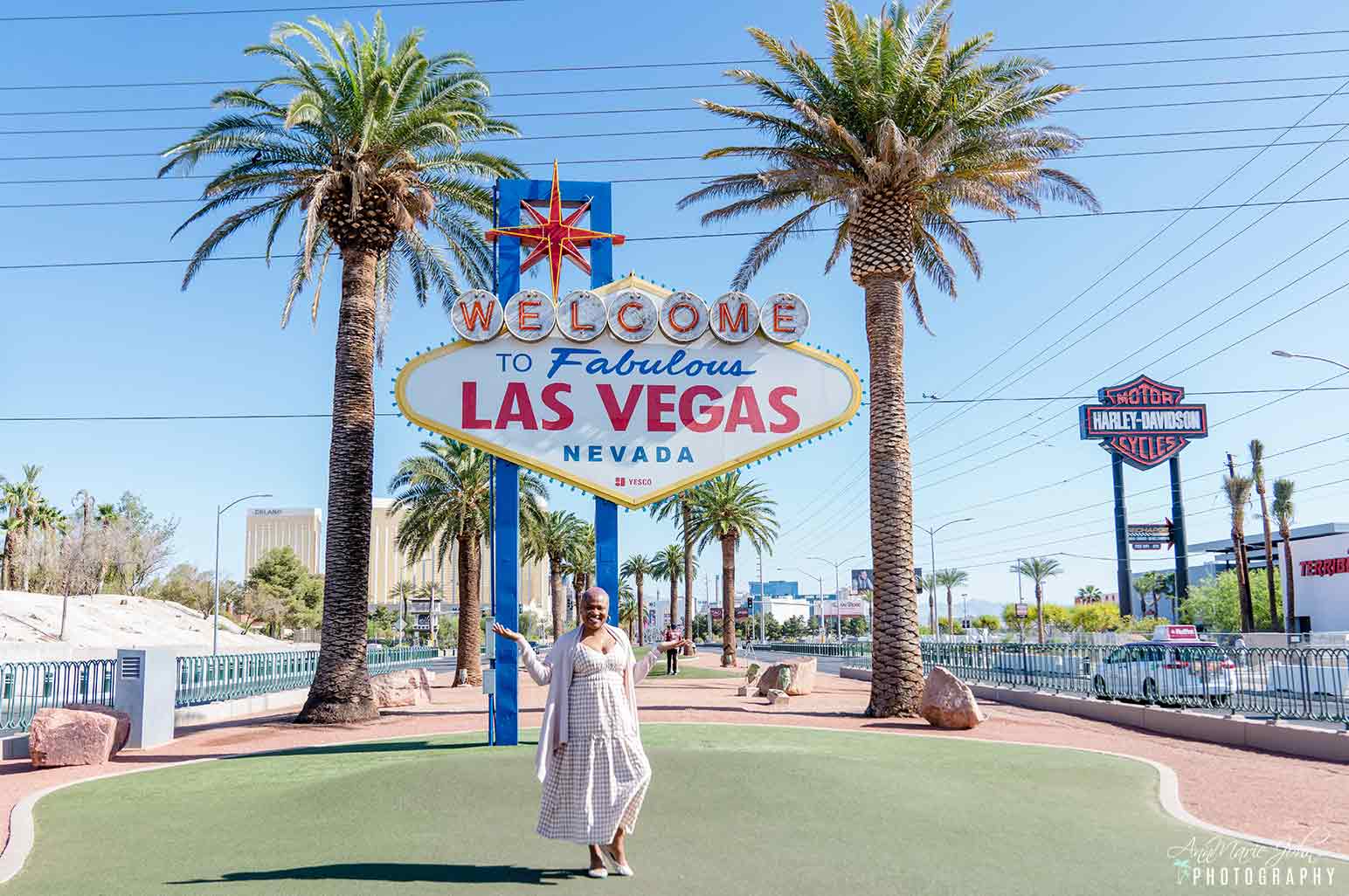 97 Fun Things to Do on the Las Vegas Strip - The Ultimate Bucket