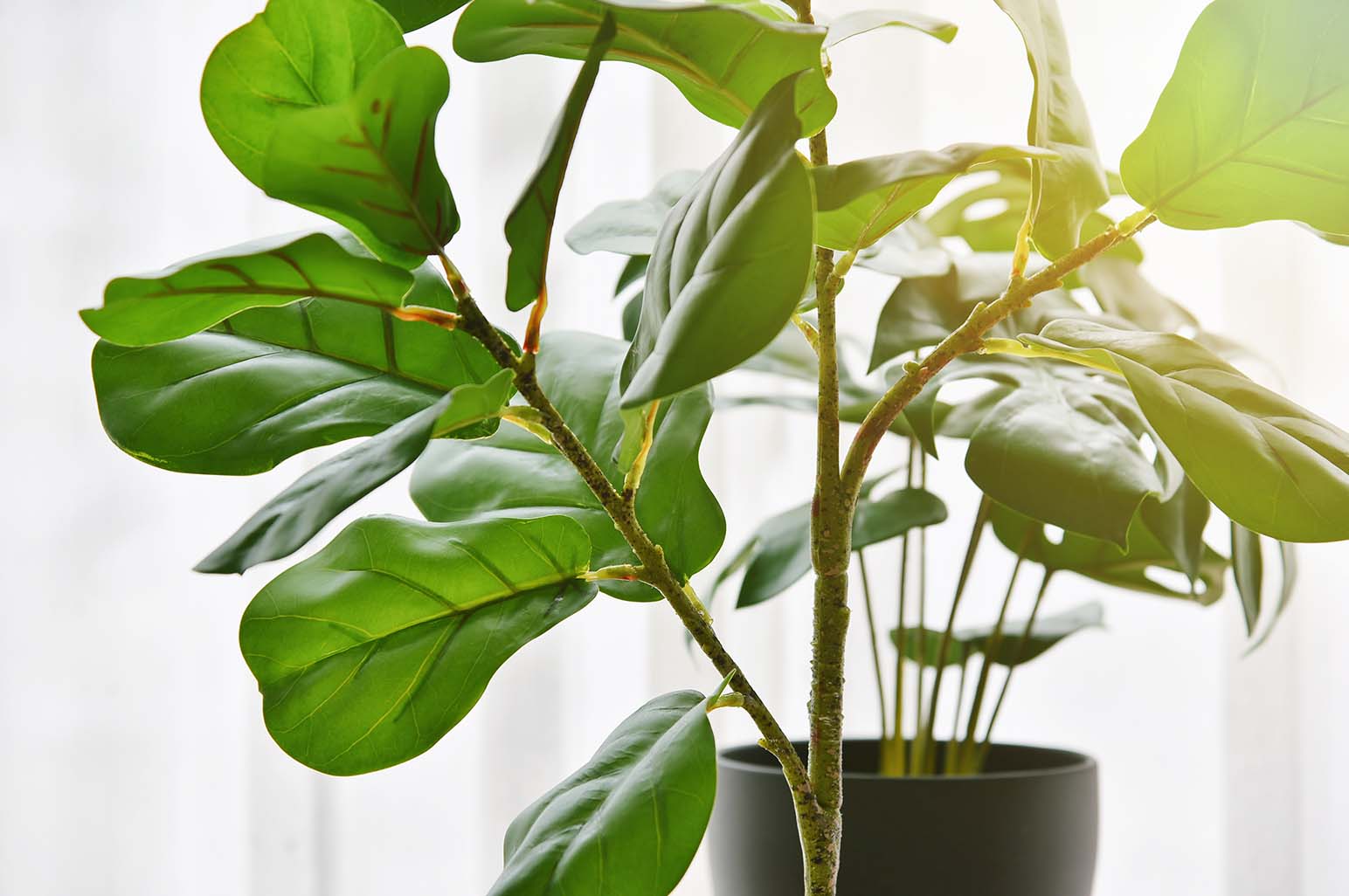 8 Artificial Plants For Your Garden - AnnMarie John