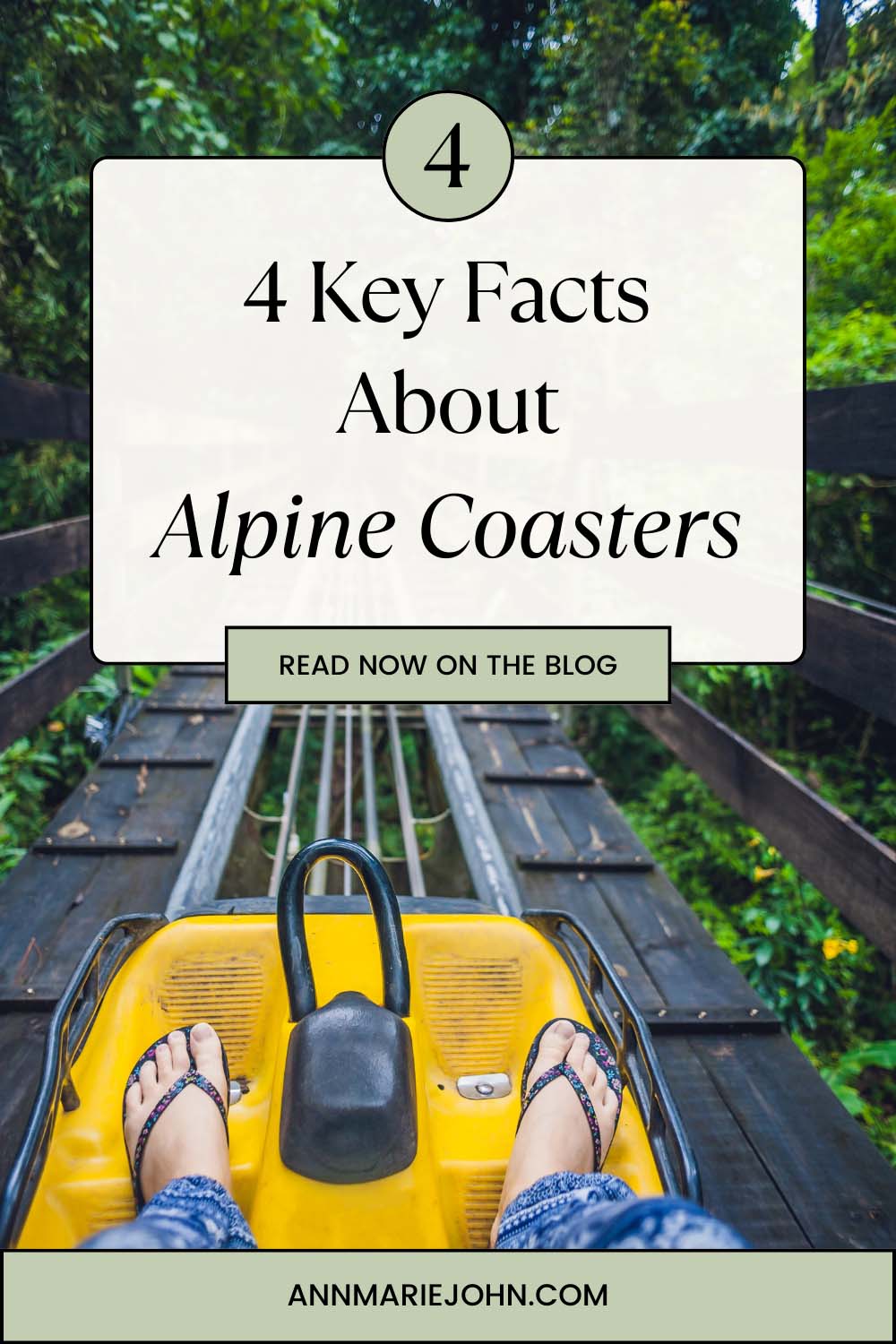 4 Key Facts About Alpine Coasters