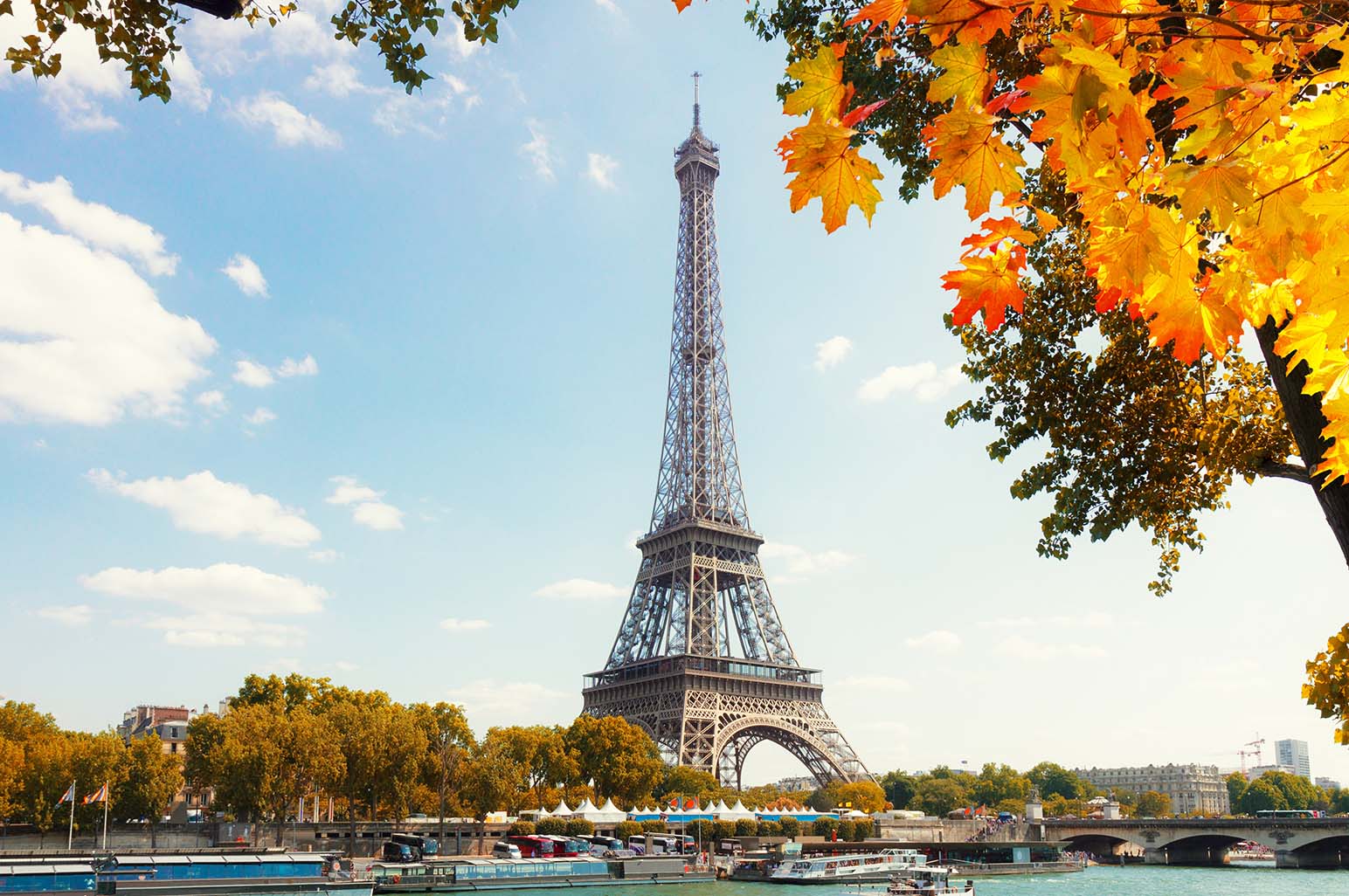 Navigating The City Of Light: A Guide To Expat Life In Paris - AnnMarie ...