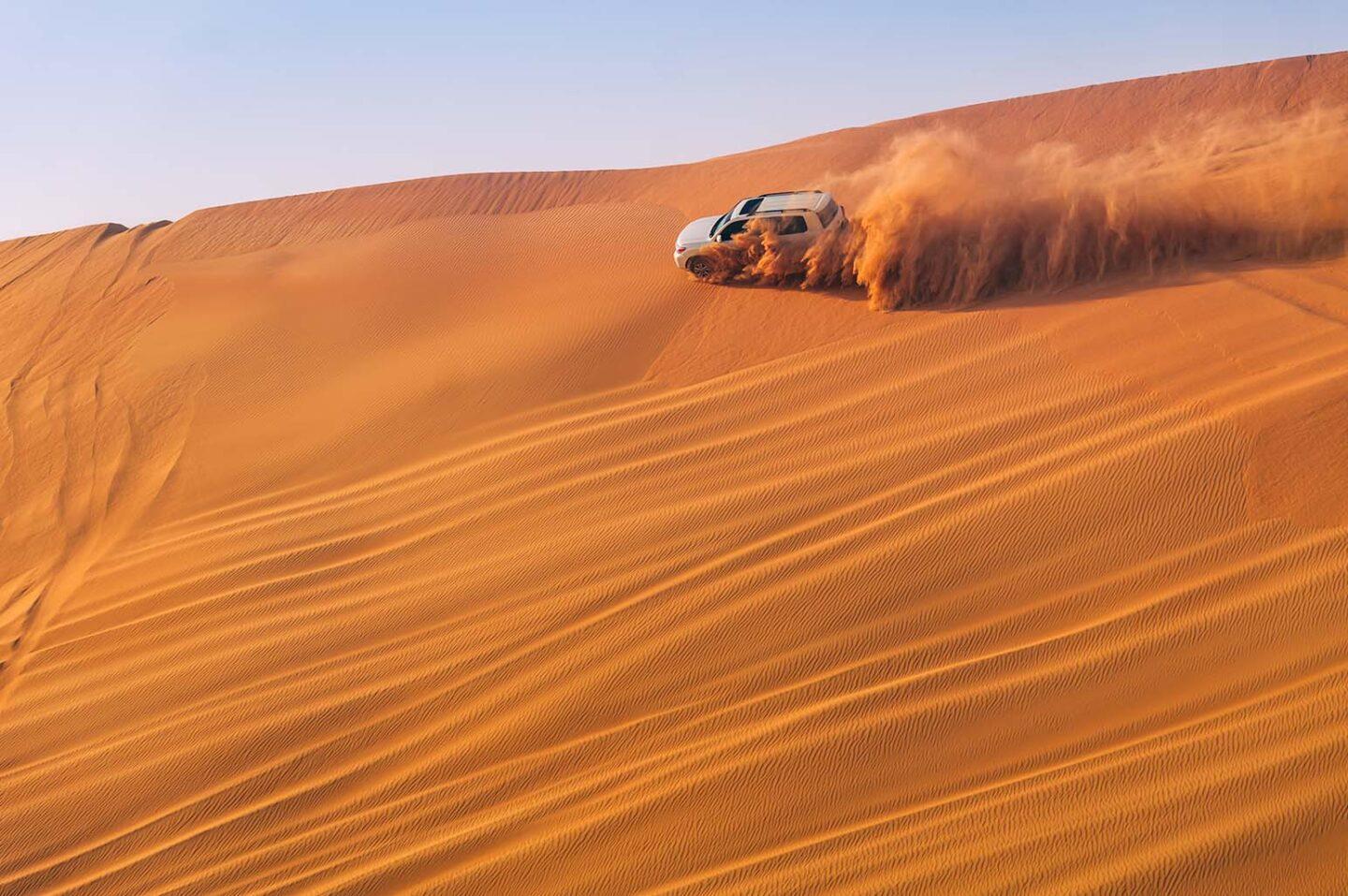 Abu Dhabi Morning Desert Safari