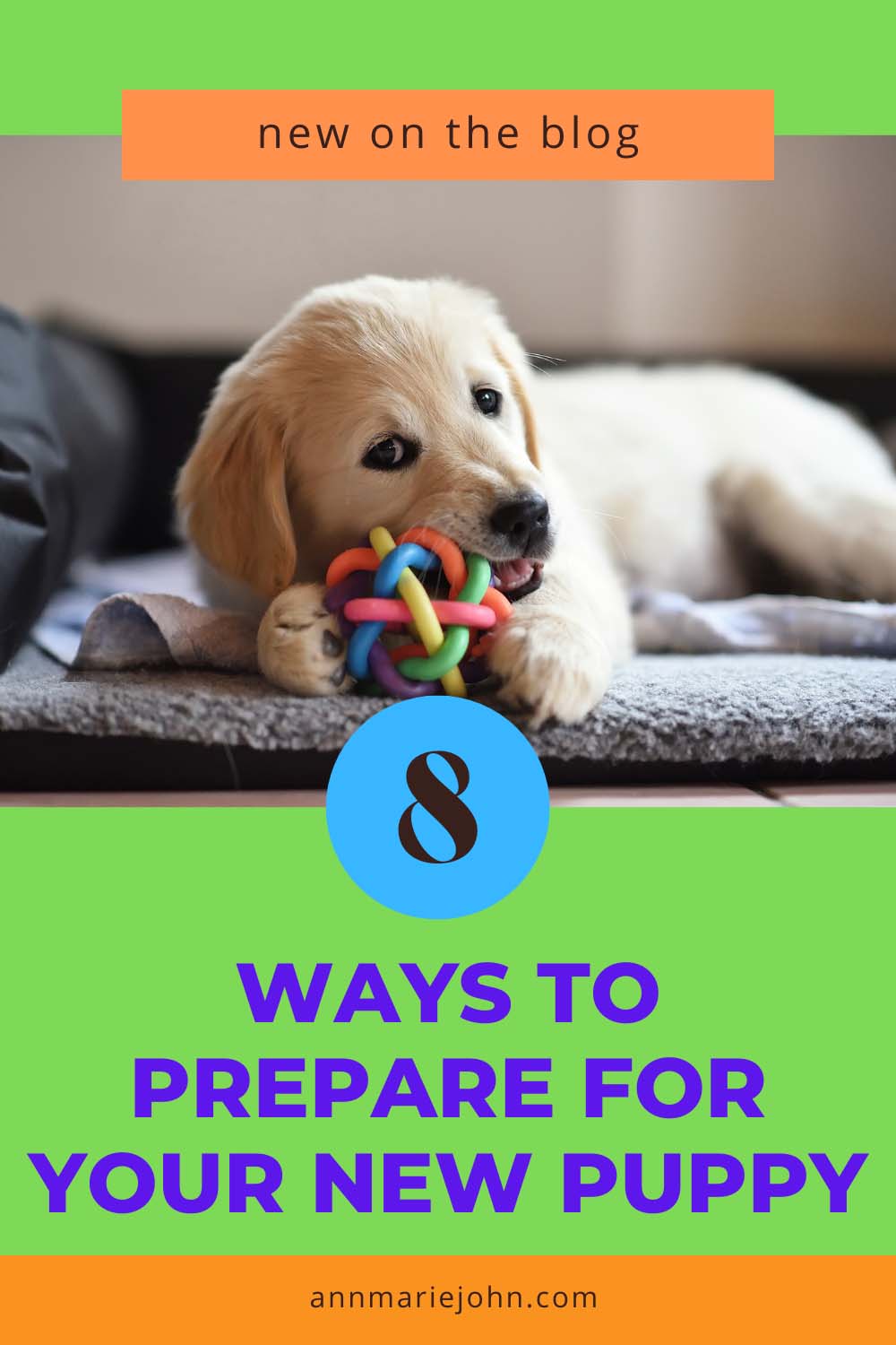 Ways to Prepare for Your New Puppy