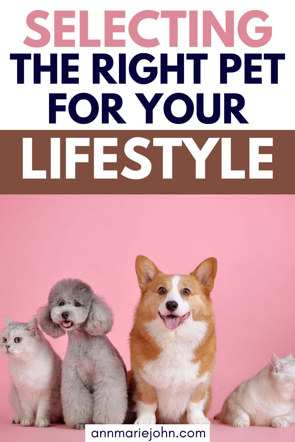 Selecting the Right Pet for Your Lifestyle