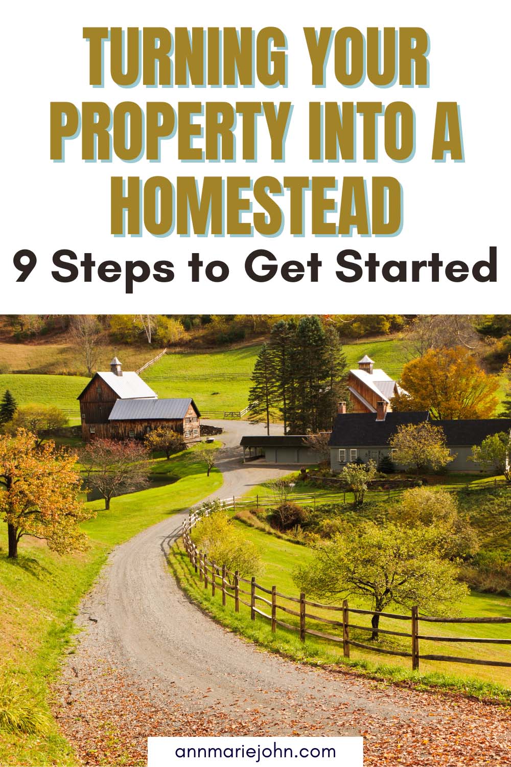 Turning Your Property Into A Homestead