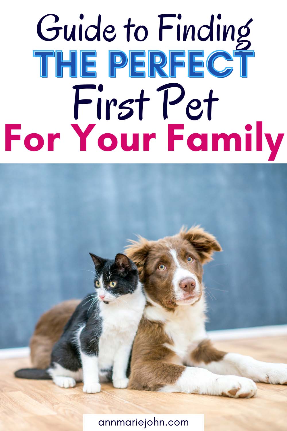 Finding the Perfect First Pet for Your Family