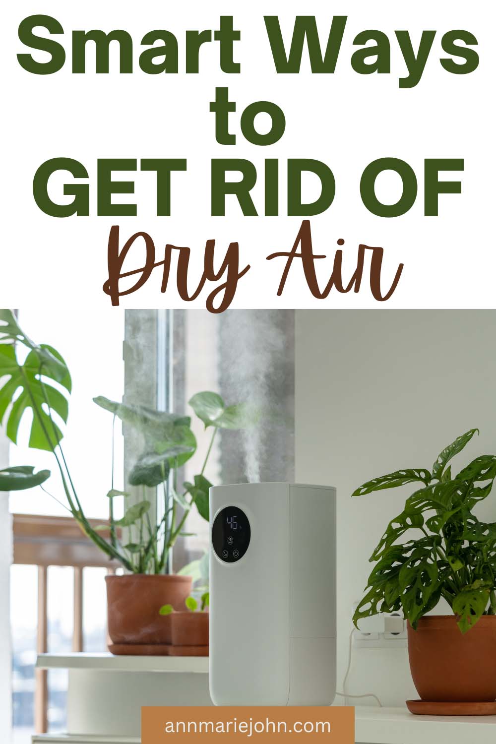 Smart Ways to Get Rid of Dry Air