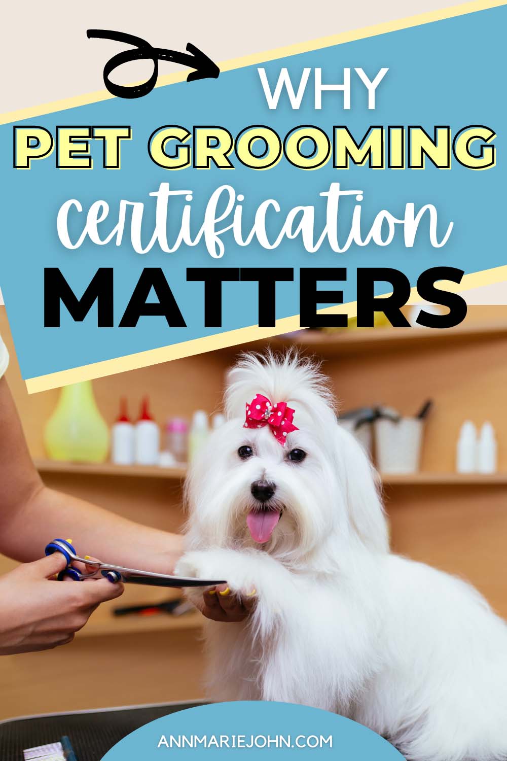 Why Pet Grooming Certification Matters
