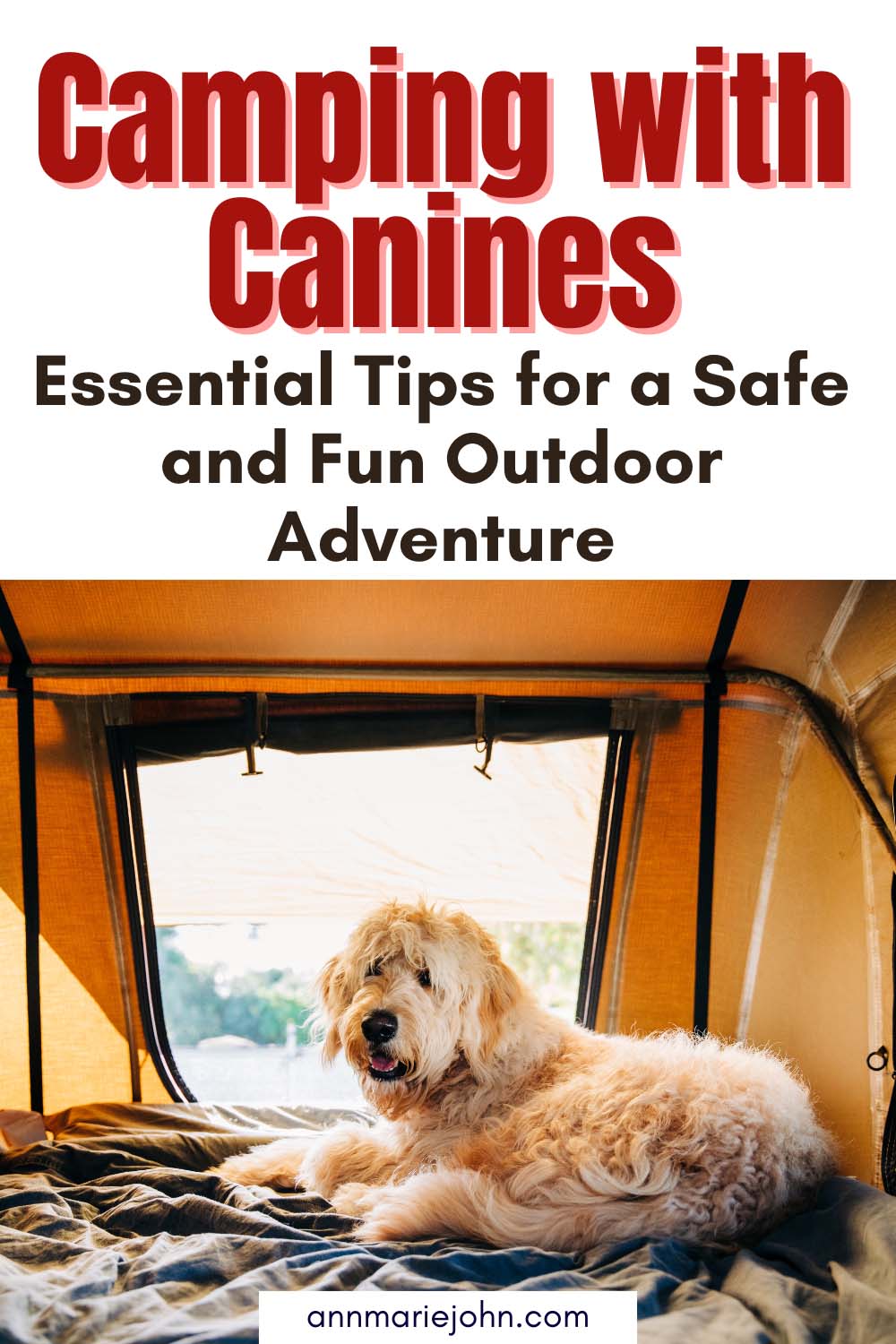 Camping With Canines
